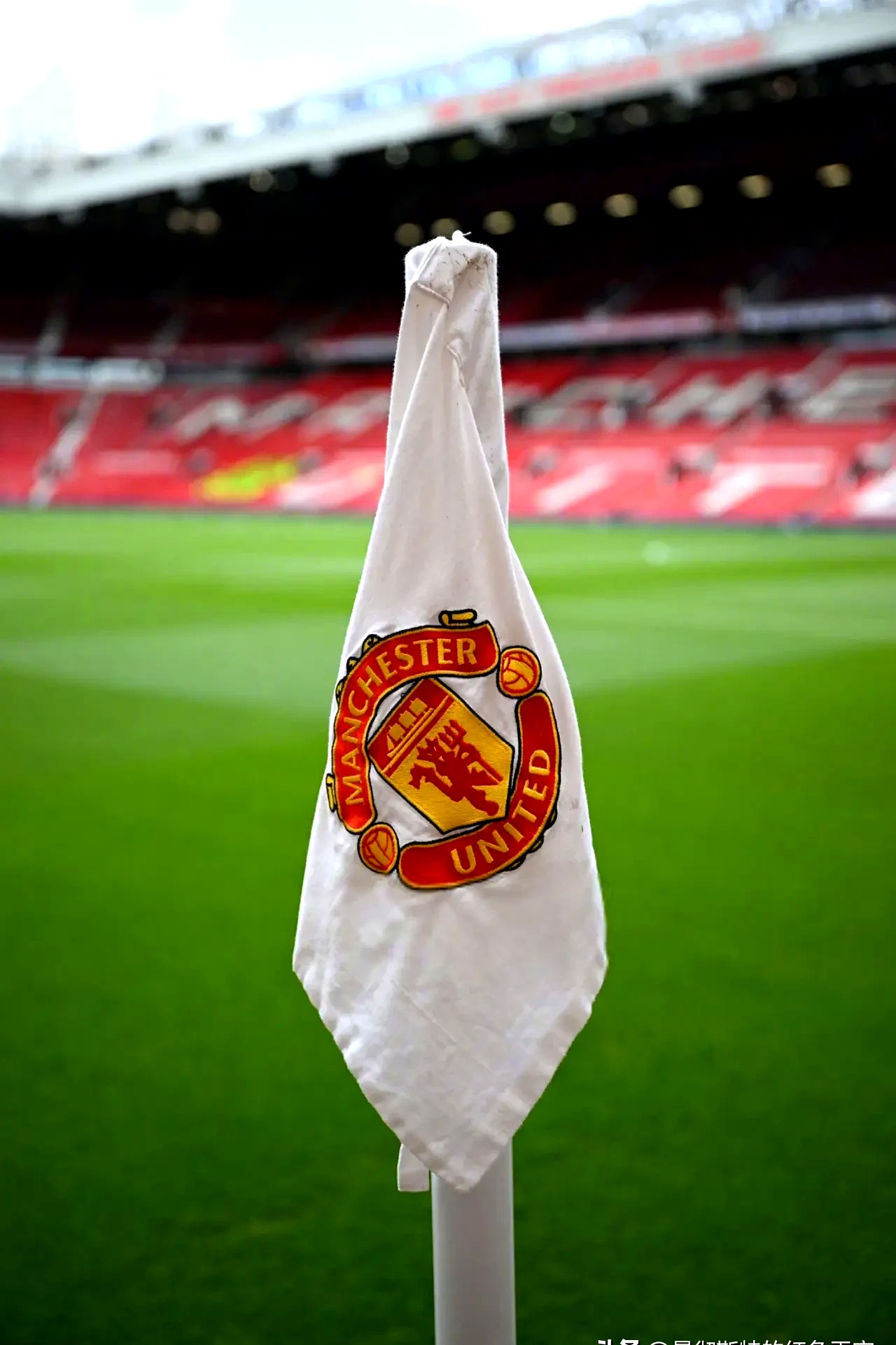 雷速网球直播-日本横扫曼联，库尔图瓦扛起全队