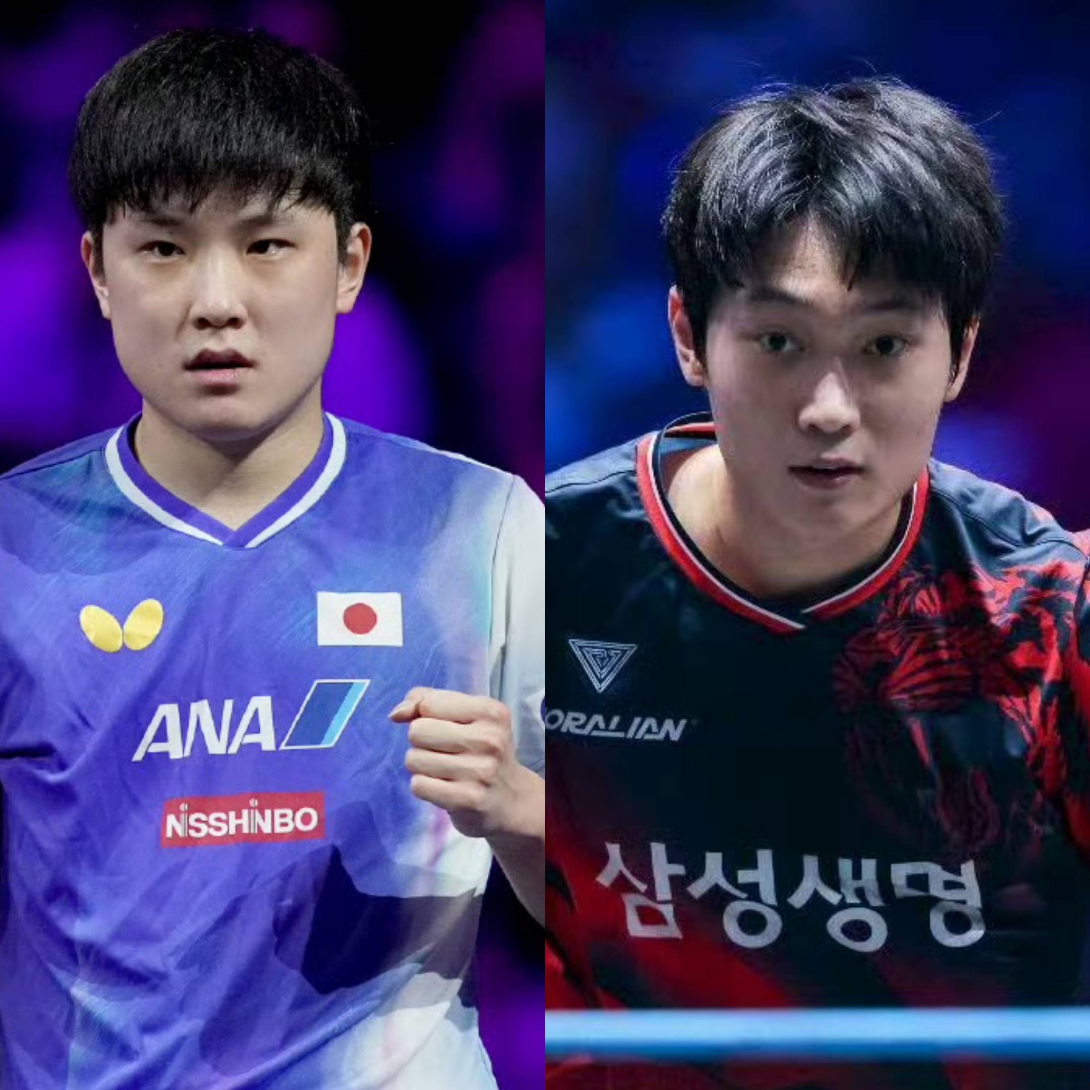 雷速篮球直播-中国队碾压波兰队，张本智和高光表现