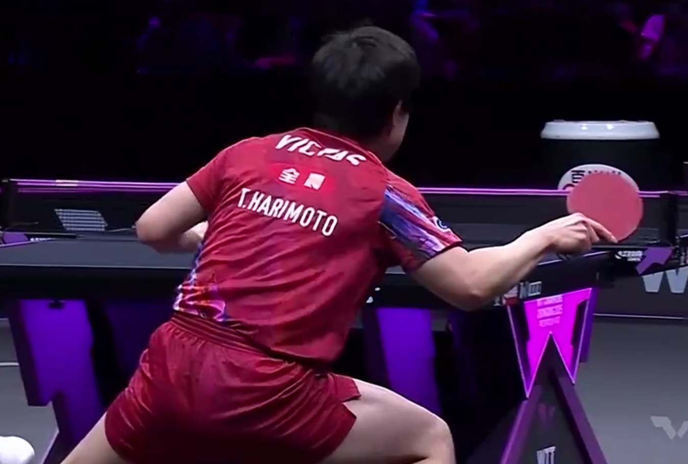 中国队碾压波兰队，张本智和高光表现