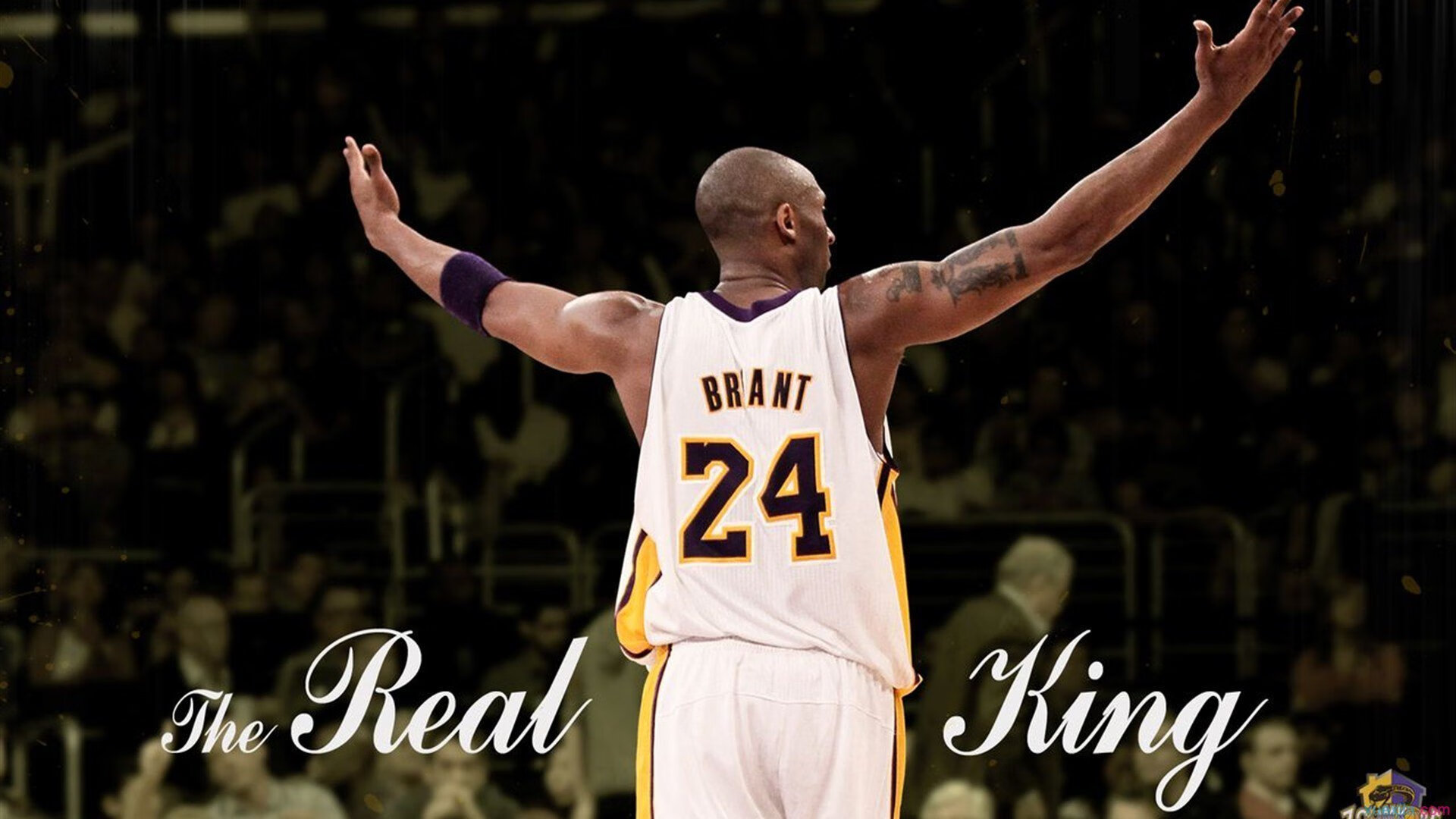 小贾伦关键回合不手软,国王防守锁死骑士—双城记下的战术博弈与决胜时刻